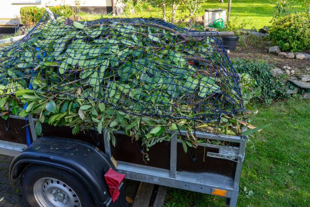 Best Carpet Removal and Disposal  in Wmington, IL